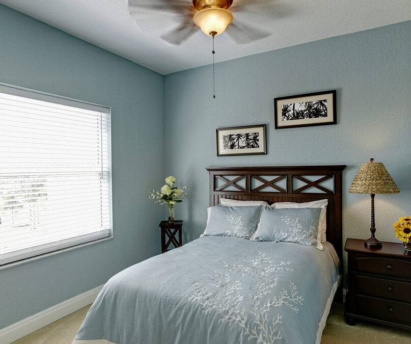 Ceiling Fan Installs